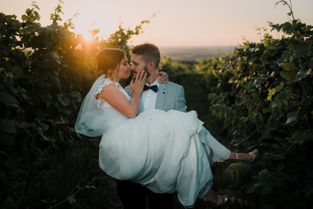 Romantikus kreatív esküvői párfotózás szőlősorok között naplementében, fiatal pár természetes és boldog pillanatai